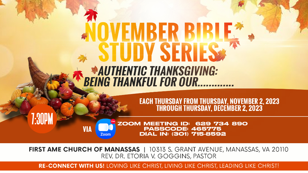 November Bible Study Series