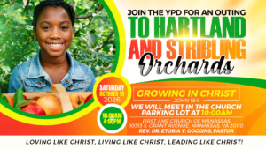 Join the YPD for an Outing to Hartland and Stribling Orchards